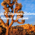 Phoenix