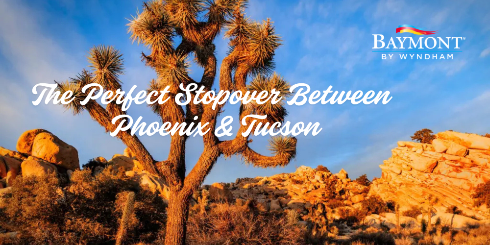 Phoenix